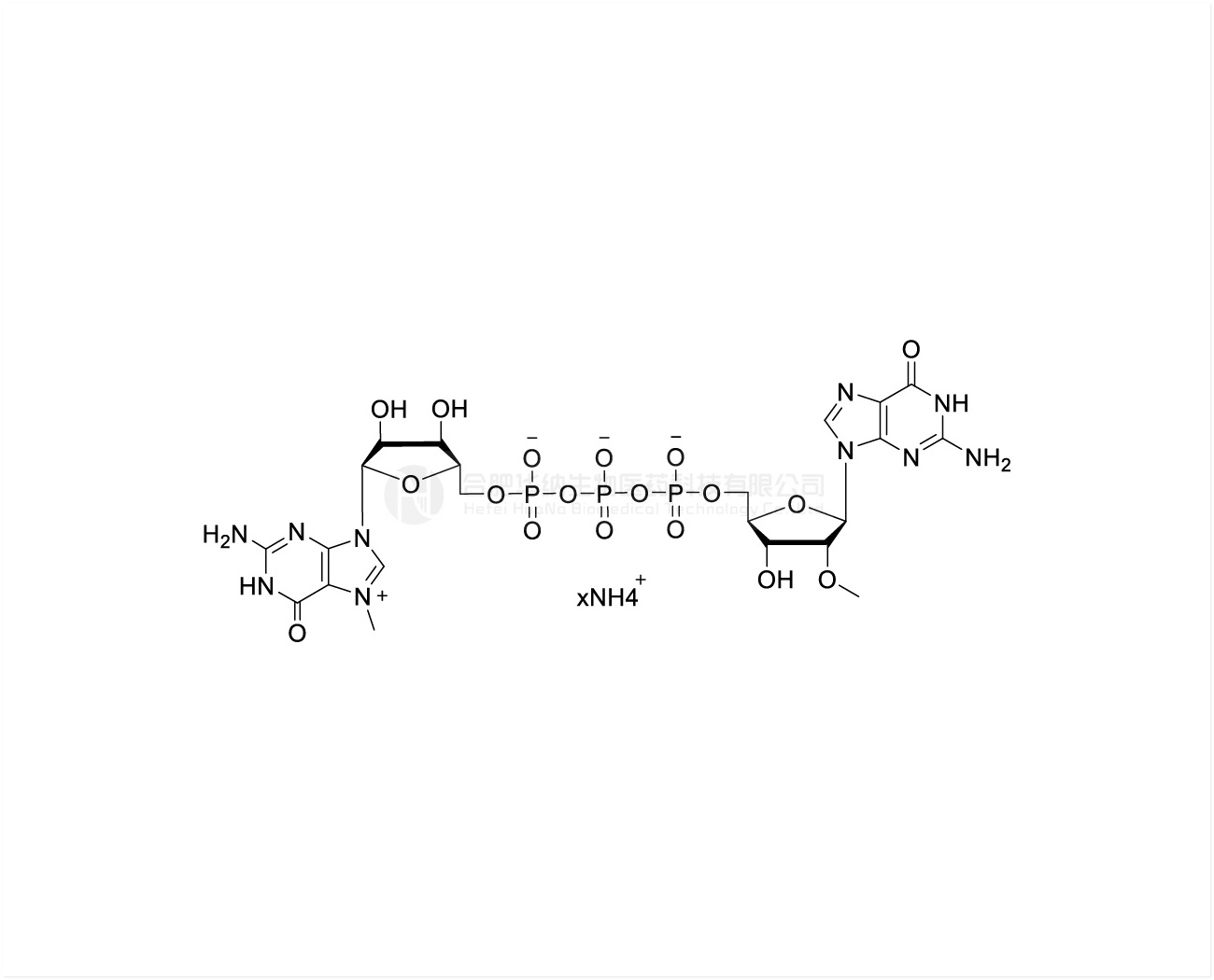 CAP m7G(5')ppp(5' )(2'OMeG) 100mM Ammonium Solution