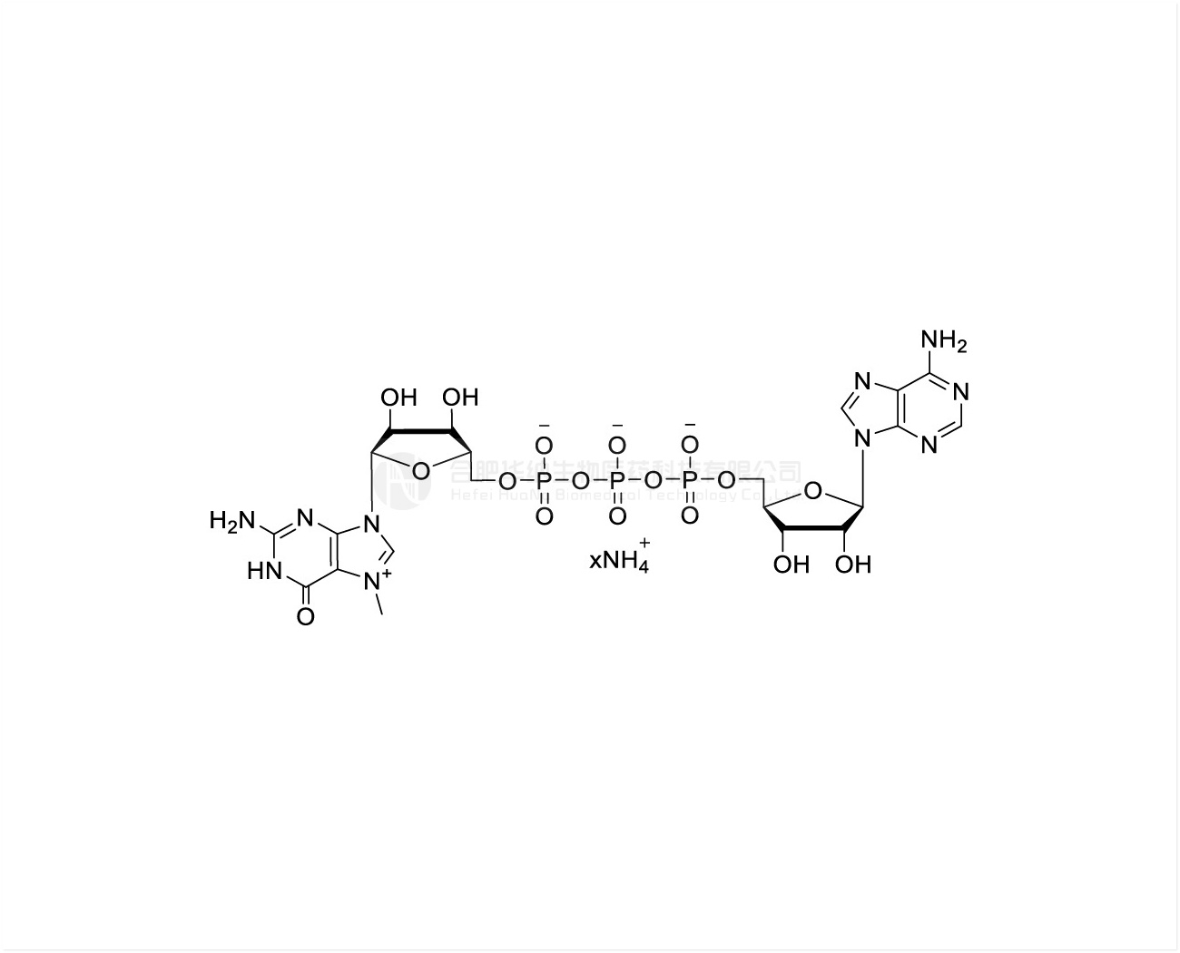 CAP G(5')ppp(5' )A Ammonium Salt